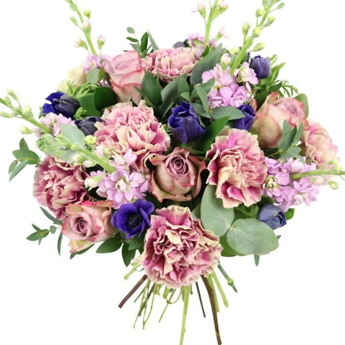 Against a smooth white background, this lush bouquet appears almost sculptural, a carefully balanced mix of colour, form, and texture that reflects the artistry of a skilled local florist. At the heart of the composition, generous garden roses in blush pink, muted dusty mauve, and antique rose open in layered spirals, their petals overlapping to create full, rounded blooms that draw the eye inward. Interwoven among them are abundant, frilly carnations whose petals display a subtle gradient from creamy beige and soft blush at their centres to deeper rose and plum hues along the ruffled outer edges, giving the arrangement fullness and a sense of movement. Striking deep indigo and royal blue flowers, some closed in elegant, tulip-like buds and others more open, punctuate the softer tones, with a particularly vivid royal blue anemone near the base showing an almost black central disk for added drama. Slender spires of lilac and pale purple stock emerge between the larger heads, their many small blossoms along each stem creating a lighter, textural counterpoint and a sense of vertical lift. All of this is held together by a generous collar of foliage: rounded, silvery eucalyptus leaves and darker, glossy greens that offer structure, shadows, and a suggestion of cool, herbal fragrance, reminiscent of a gentle breeze along nearby Ewhurst Road or Crofton Park's leafy side streets. At the bottom, the gathered stems are visible and neatly tied, emphasising the bouquet's freshly cut, hand-prepared nature. With its romantic palette and refined styling, this arrangement suits weddings, anniversaries, spring celebrations, or an elegant floral display in a Crofton Park home.